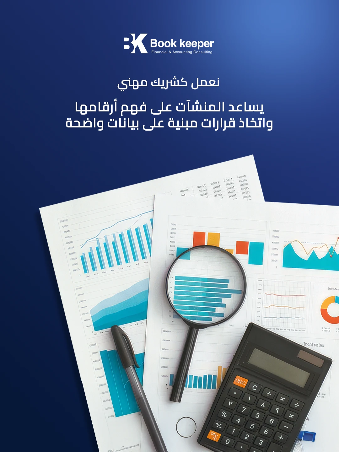 Financial reporting / campaign