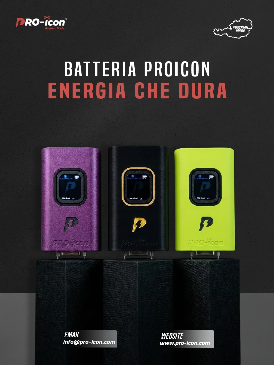 PRO ICON project application