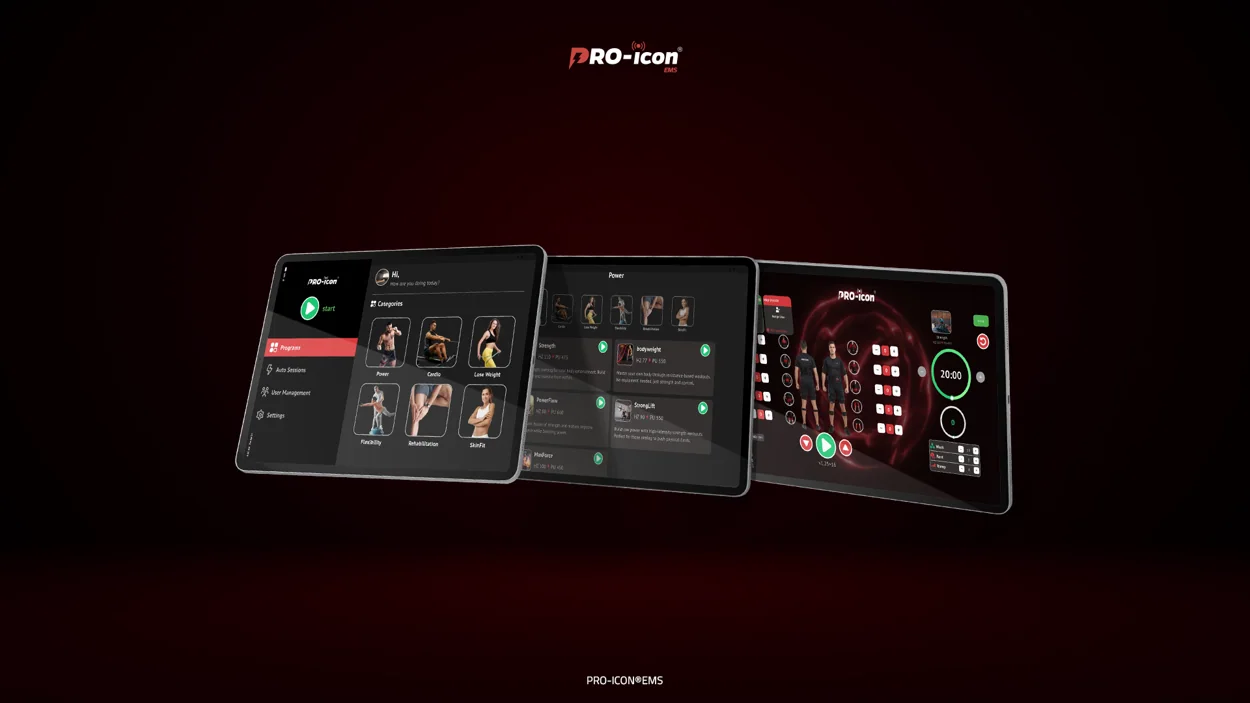 PRO ICON project application