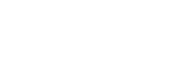 ZIZO Salon original logo