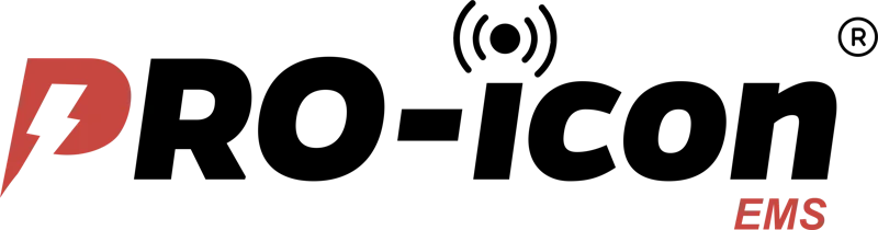 PRO ICON original logo