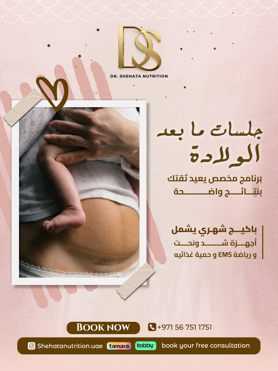 Dr. Mohamed Shehata project application